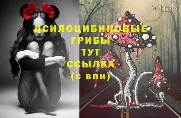 PSILOCYBIN Белоозёрский