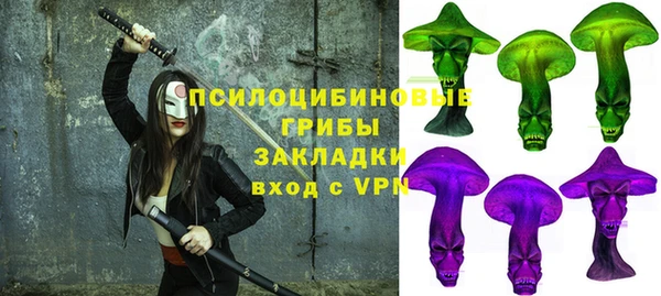 МДПВ Богданович