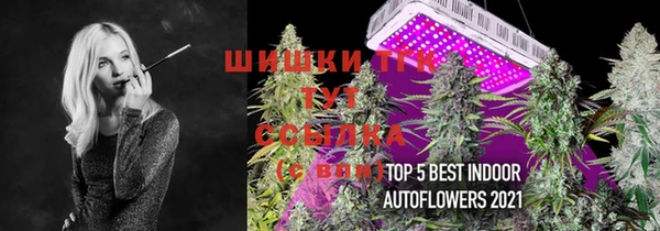 PSILOCYBIN Белоозёрский