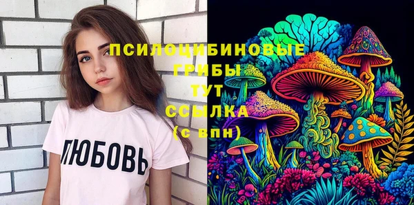 МДПВ Богданович