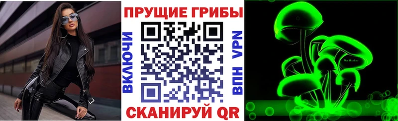 сайты даркнета клад Армавир Галлюциногенные грибы Psilocybe цена